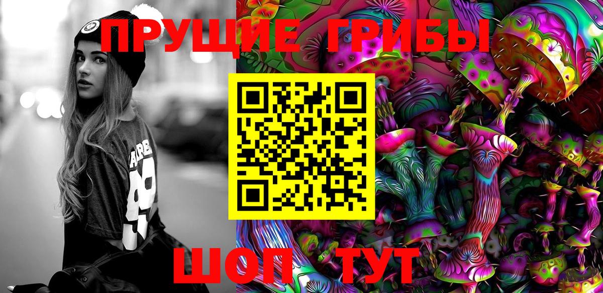 Прохладный  Галлюциногенные грибы Magic Shrooms  Галлюциногенные грибы мицелий  Вход с VPN 